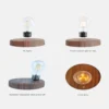 Magnetic levitation floating lamp
