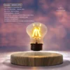 Magnetic levitation floating lamp