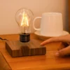 Magnetic levitation floating lamp