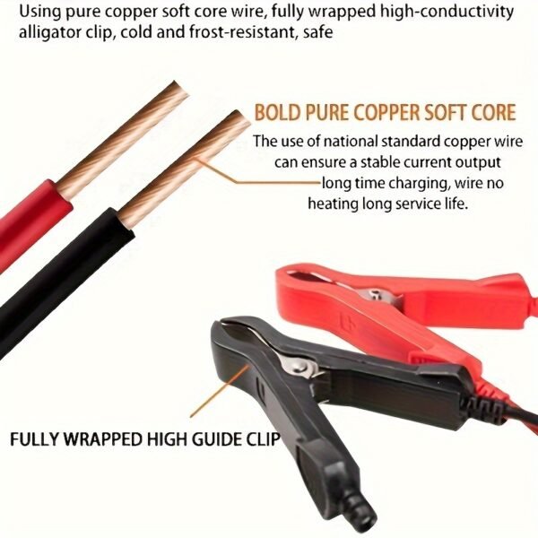 12V 6A battery charger